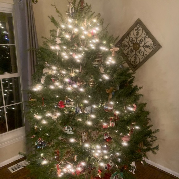 Meet your Posher, Jennifer - Picture 1 of 1